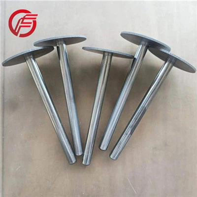 Ống bảo vệ cặp nhiệt điện Tantalum